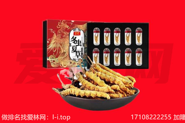 福州市仓山回收虫草.jpg